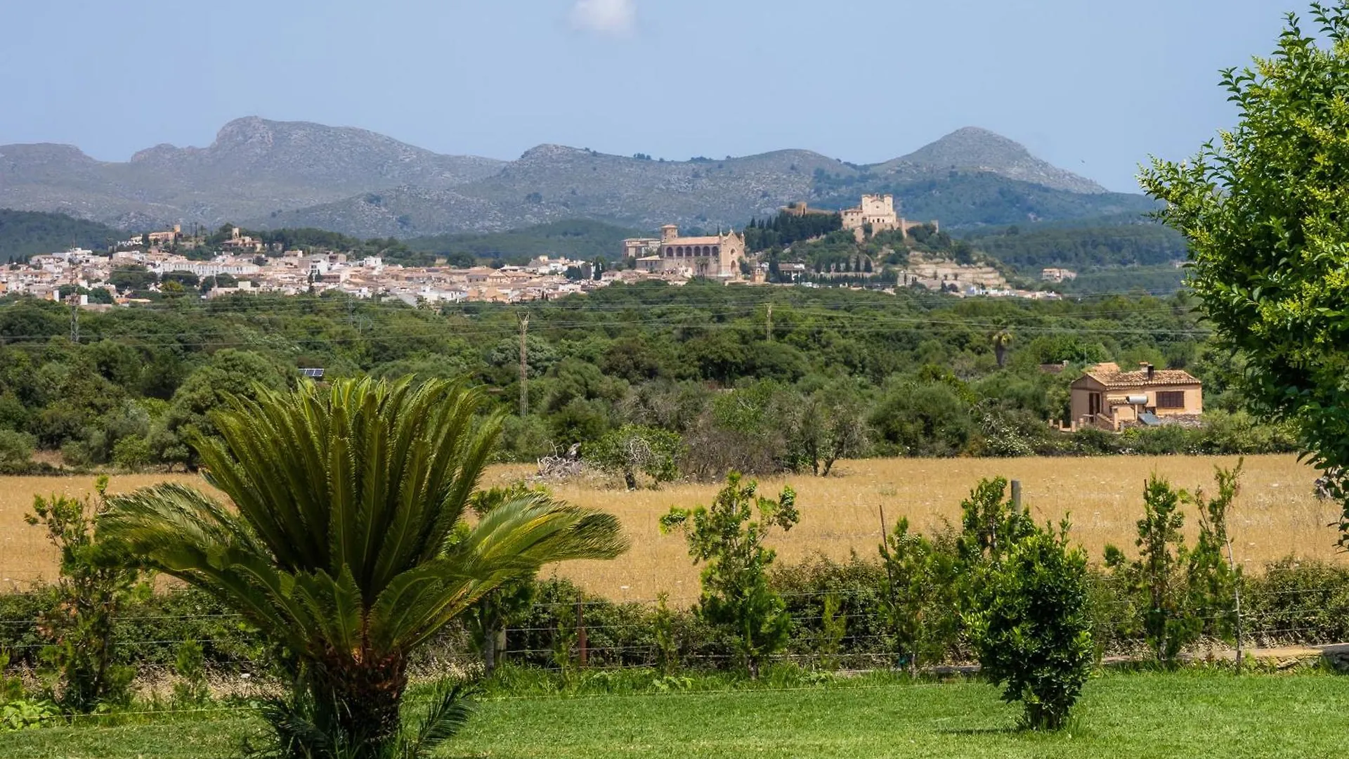 Can Terres - Baladre Arta